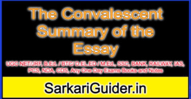 The Convalescent Summary of the Essay