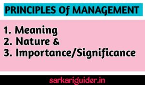 principles of management