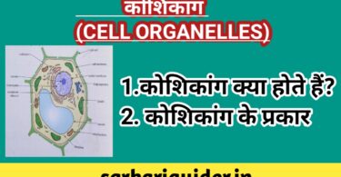 कोशिकांग (Cell Organelles)