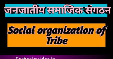 जनजातीय सामाजिक संगठन