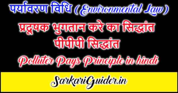 प्रदूषक भुगतान करे का सिद्धांत Polluter Pays Principle in hindi