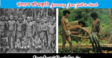 सेमांग जनजाति – निवास क्षेत्र, अर्थव्यवस्था तथा सामाजिक संगठन की प्रकृति Semang JanJati in hindi