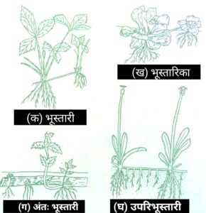 (1) अर्द्धवायवीय रूपान्तरण (Sub-aerial Modification)