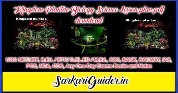 Kingdom Plantae Biology Science Lesson plan pdf download