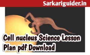 Cell Nucleus Science