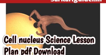 Cell Nucleus Science