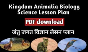 Kingdom Animalia Biology Science Lesson plan