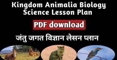 Kingdom Animalia Biology Science Lesson plan