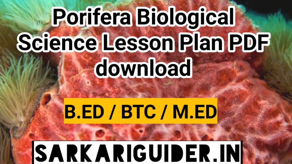 Porifera Biological Science Lesson plan pdf