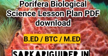 Porifera Biological Science Lesson plan pdf