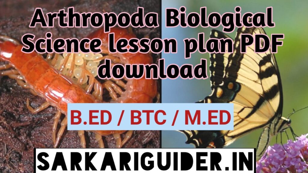 Arthropoda Biological Science Lesson plan pdf