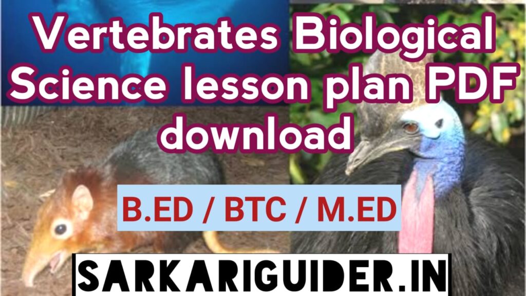 Vertebrates Biological Science Lesson plan pdf 