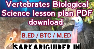 Vertebrates Biological Science Lesson plan pdf