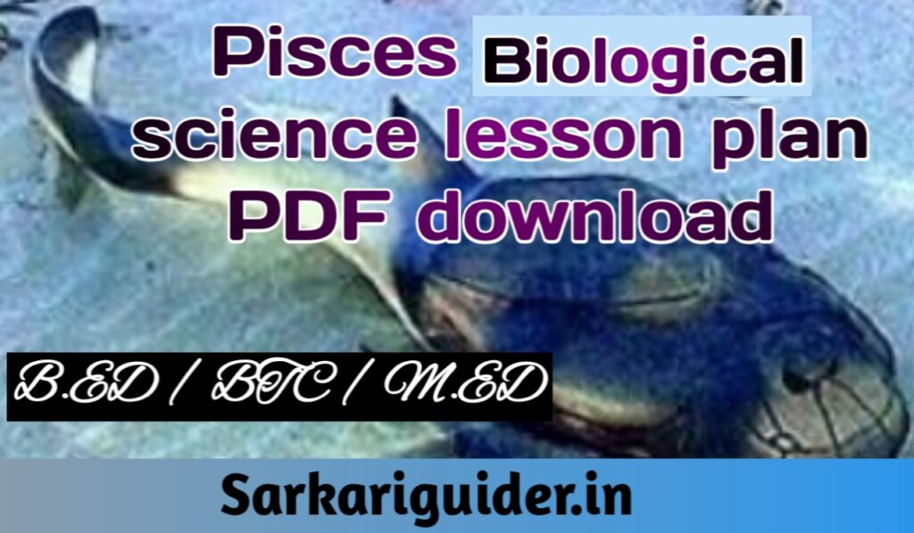 Pisces Biological Science Lesson plan pdf