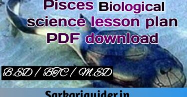 Pisces Biological Science Lesson plan pdf