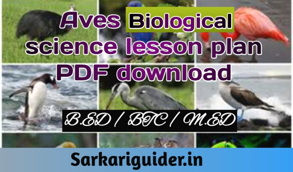 Aves Biological Science Lesson plan pdf download for B.ED, M.ED