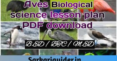 Aves Biological Science Lesson plan pdf download for B.ED, M.ED