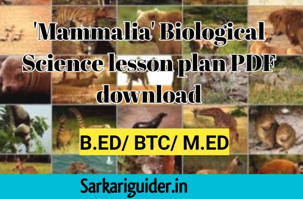 Mammalia Biological Science Lesson plan pdf