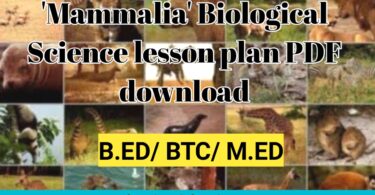 Mammalia Biological Science Lesson plan pdf