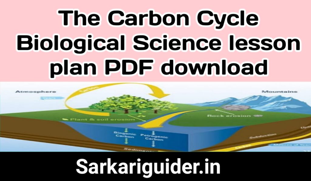 The Carbon Cycle Biological Science Lesson plan pdf