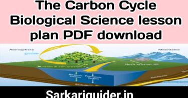 The Carbon Cycle Biological Science Lesson plan pdf