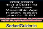 मध्य पाषाण काल इतिहास का लेसन प्लान Mesolithic Age History lesson plan for B.Ed.