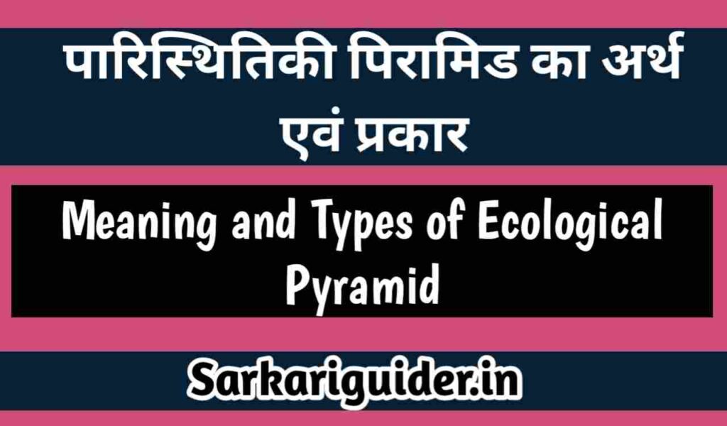 पारिस्थितिक पिरामिड का अर्थ एंव प्रकार | Meaning and Types of Ecological Pyramid in Hindi