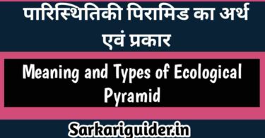 पारिस्थितिक पिरामिड का अर्थ एंव प्रकार | Meaning and Types of Ecological Pyramid in Hindi