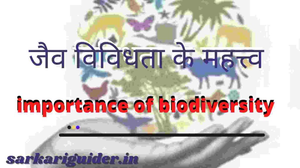 जैव विविधता के महत्त्व | importance of biodiversity in Hindi