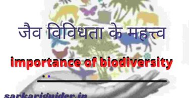 जैव विविधता के महत्त्व | importance of biodiversity in Hindi