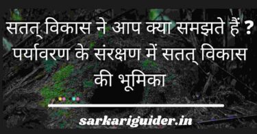 सतत् विकास ने आप क्या समझते हैं ? पर्यावरण के संरक्षण में सतत् विकास की भूमिका