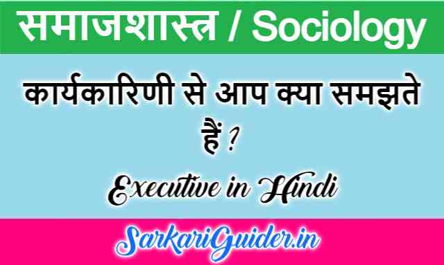 executive-in-hindi