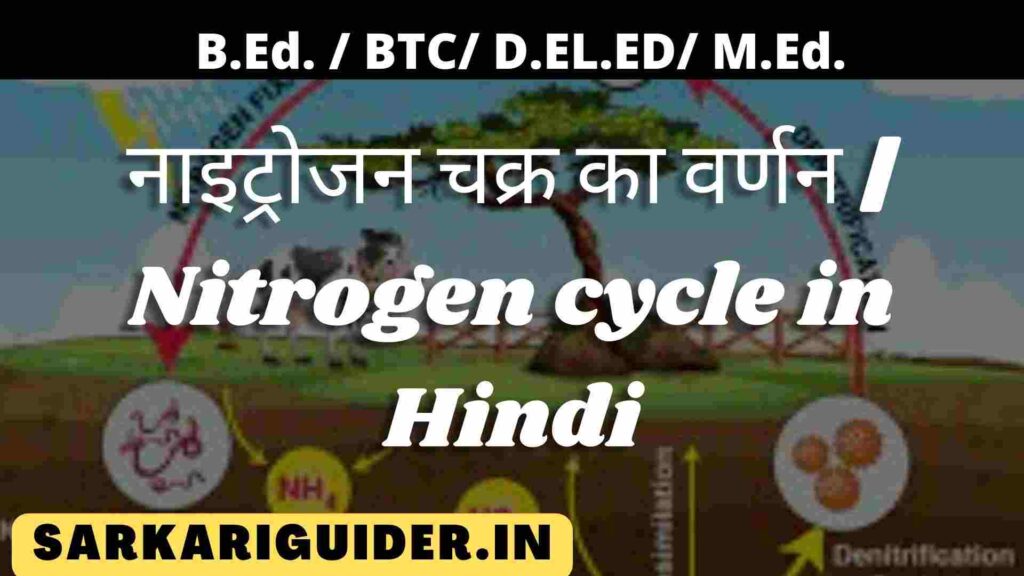 नाइट्रोजन चक्र का वर्णन | Nitrogen cycle in Hindi