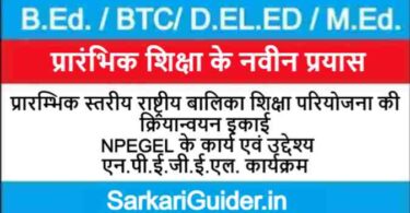 प्रारम्भिक स्तरीय राष्ट्रीय बालिका शिक्षा परियोजना की क्रियान्वयन इकाई