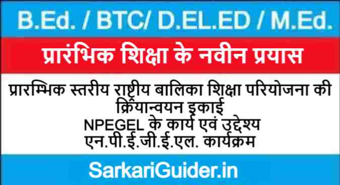 प्रारम्भिक स्तरीय राष्ट्रीय बालिका शिक्षा परियोजना की क्रियान्वयन इकाई