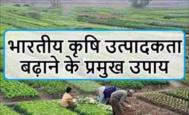 भारतीय कृषि उत्पादकता बढ़ाने के प्रमुख उपाय