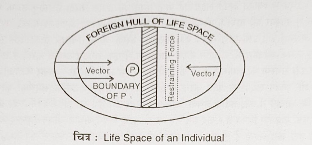 Life Space of an Individual