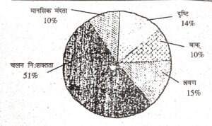 विकलांगता की व्यापकता