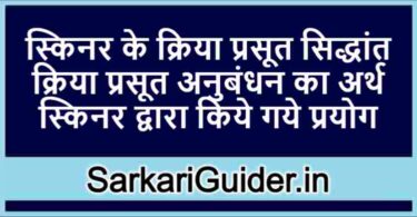 स्किनर के क्रिया प्रसूत सिद्धांत