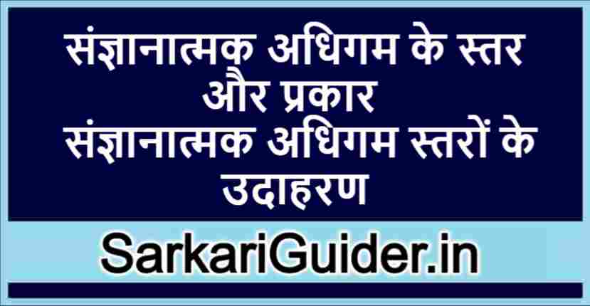 संज्ञानात्मक अधिगम के स्तर और प्रकार