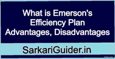 What is Emerson's Efficiency Plan