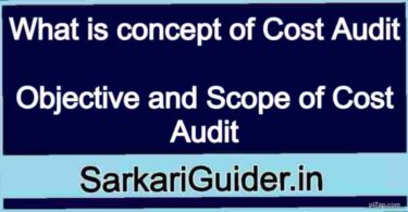 What is concept of Cost Audit